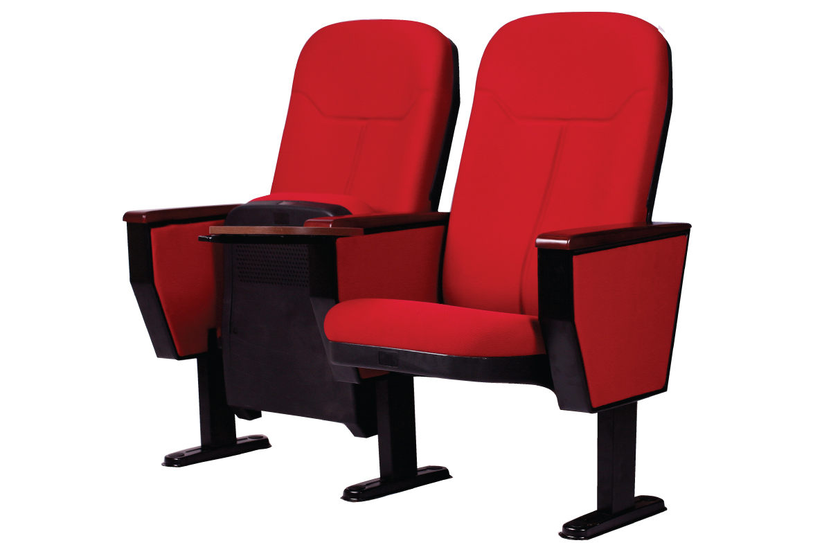 Auditorium Chairs